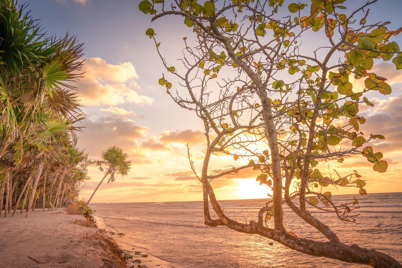 Platinum Yucatan Princess Adults Only Плайя-дель-Кармен Екстер'єр фото Sunset at the beach